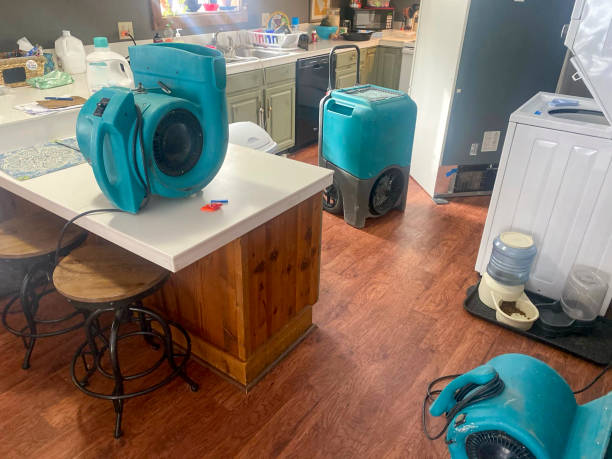 Best Water damage restoration near me  in Highlands, NJ